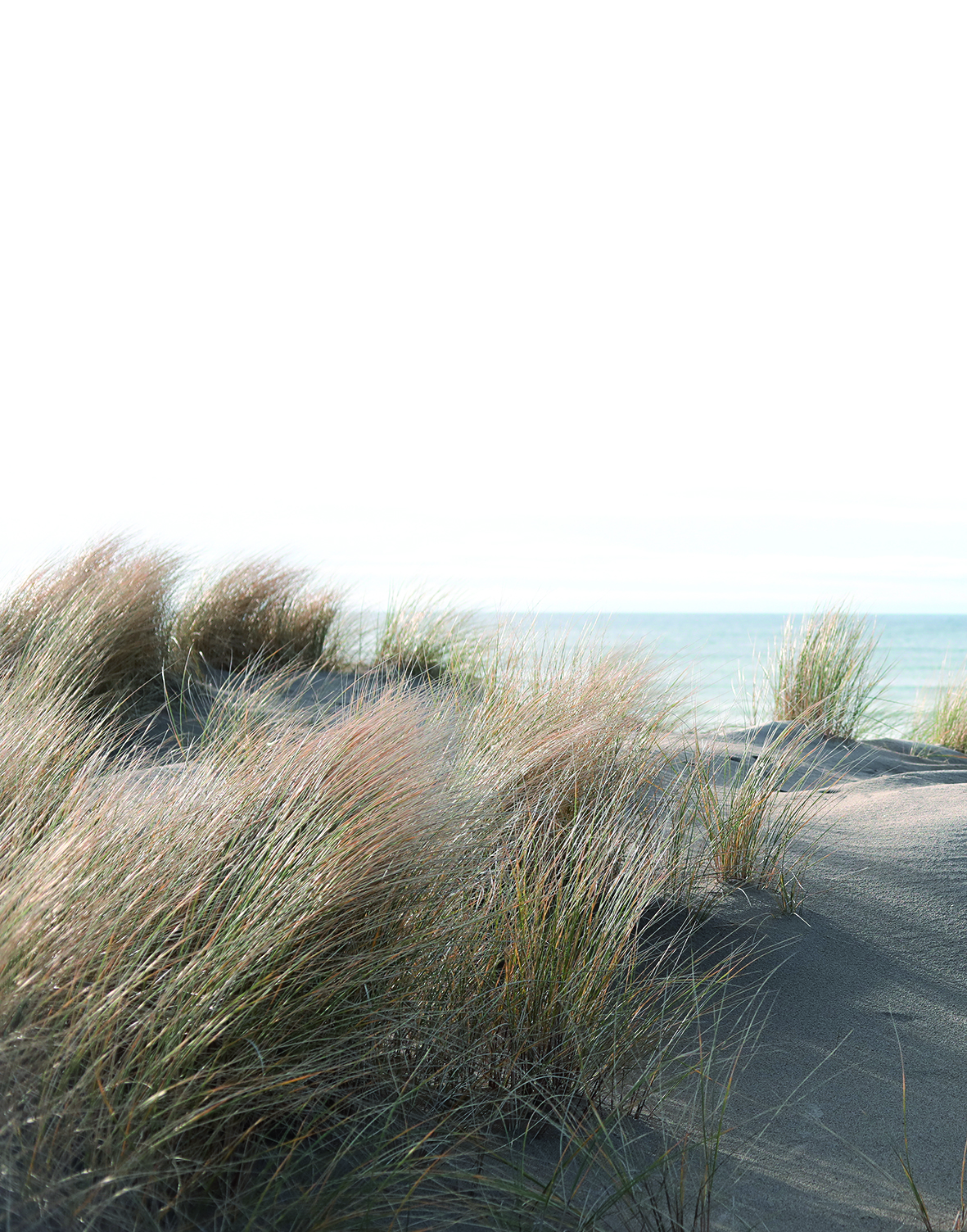 Marburger Tapete DecorVlies 2028, 7219