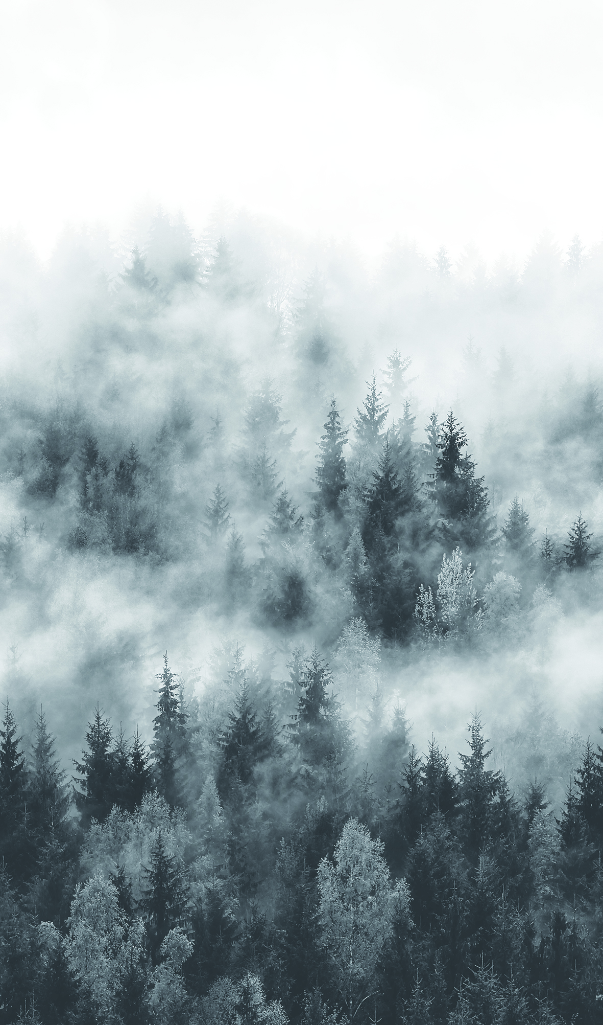 Marburger Tapete DecorVlies 2028, 7268