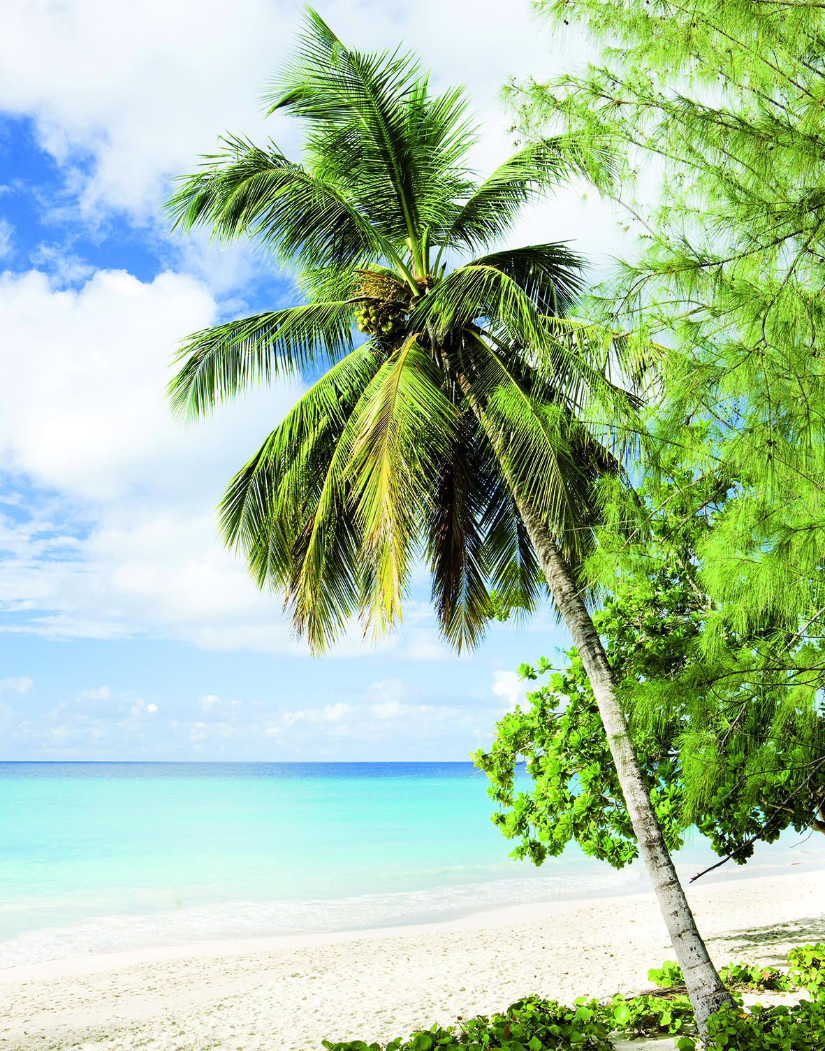 Marburger Tapete DecorVlies 2028, 7269